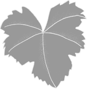 Layer of a leaf